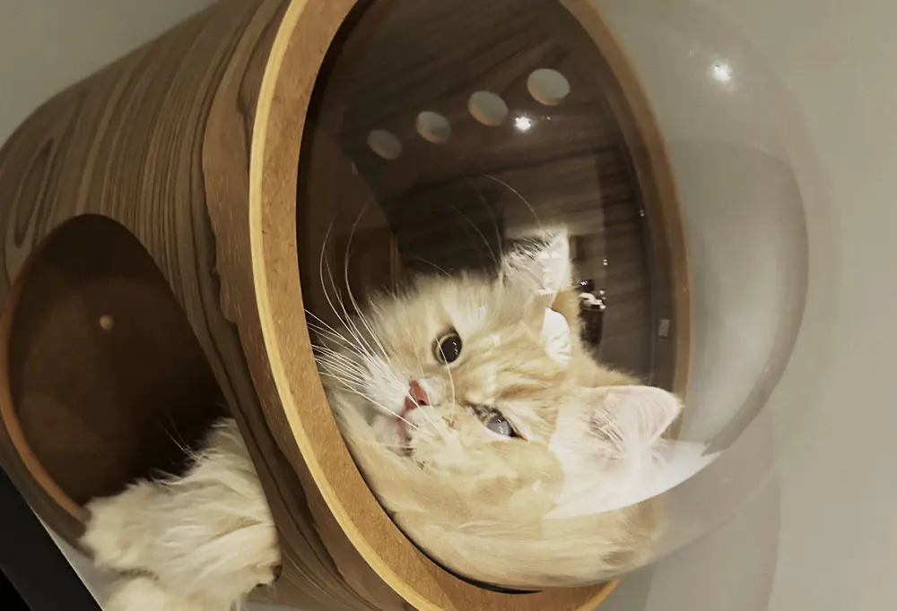 MYZOOの猫カプセル型キャットステップ