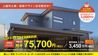 【上越市土橋｜3SLDK】家具付モデルハウス販売開始！